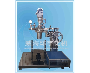 0.5L Laboratory Reactor